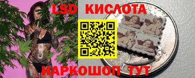 шишки Пенза