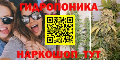 стаф Обнинск