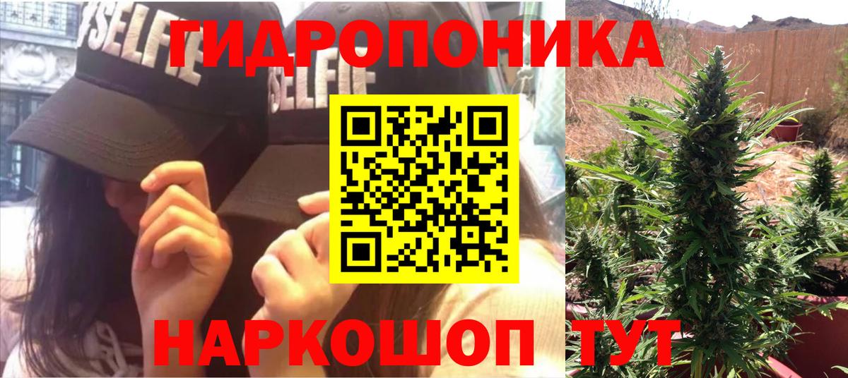 Бошки Шишки сатива  Конопля AK-47  Шишки марихуана VHQ  Шадринск  Вход с VPN 